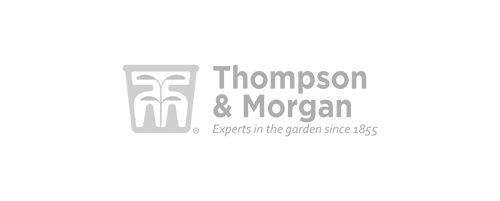 thompson-morgan-grey